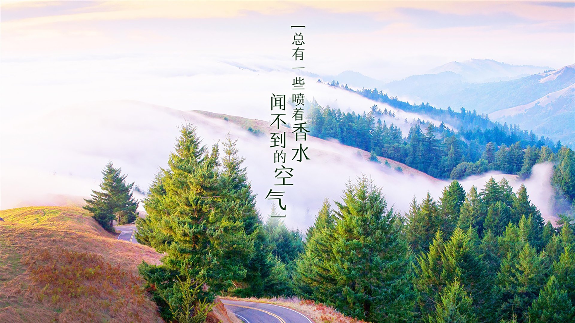科比神话：81分！NBA历史上最令人震撼的个人得分奇迹！，科比的得分王