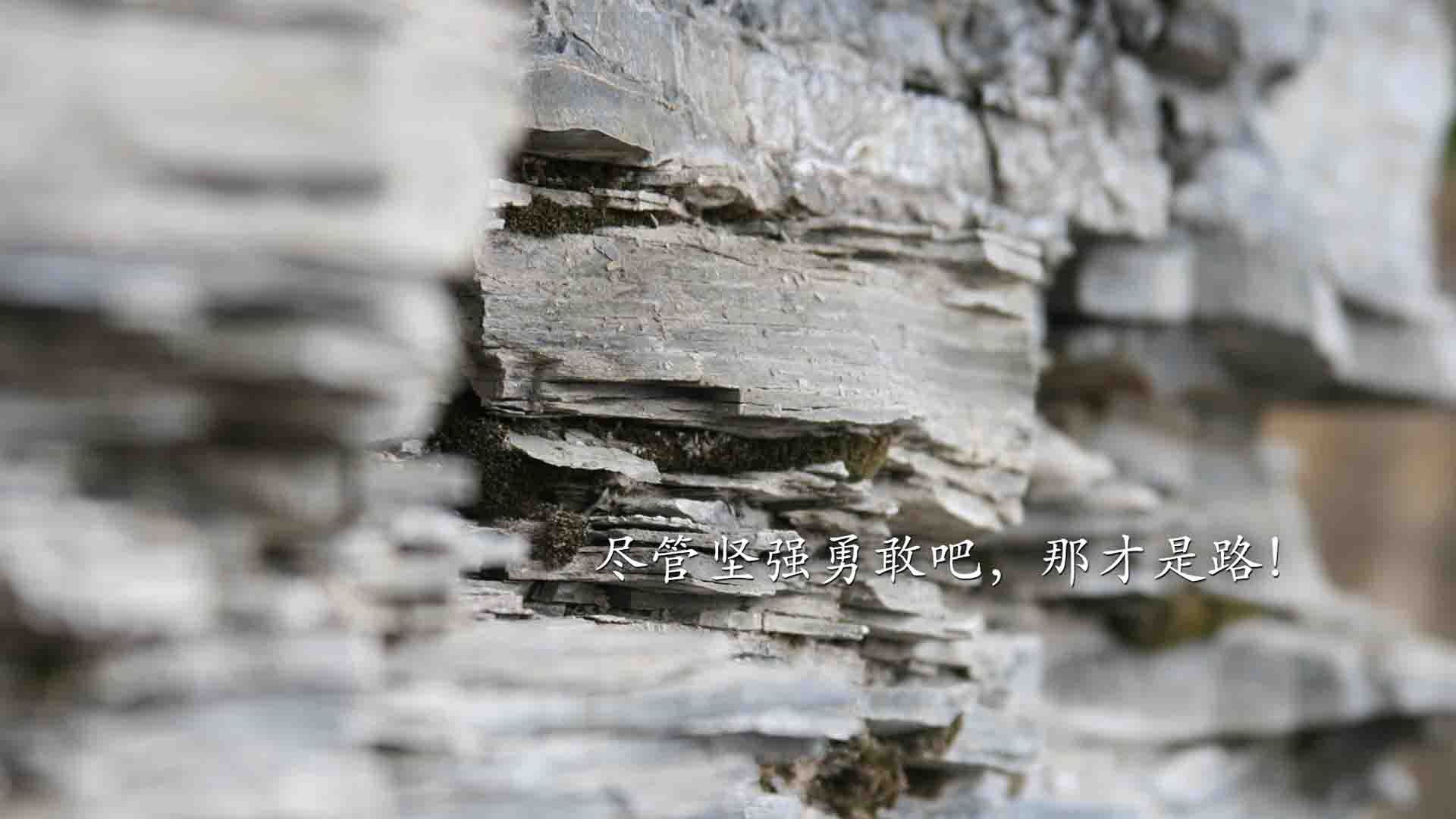 LCK联盟发布电子竞技选手伤病预防指南，电子竞技选手手伤因为什么