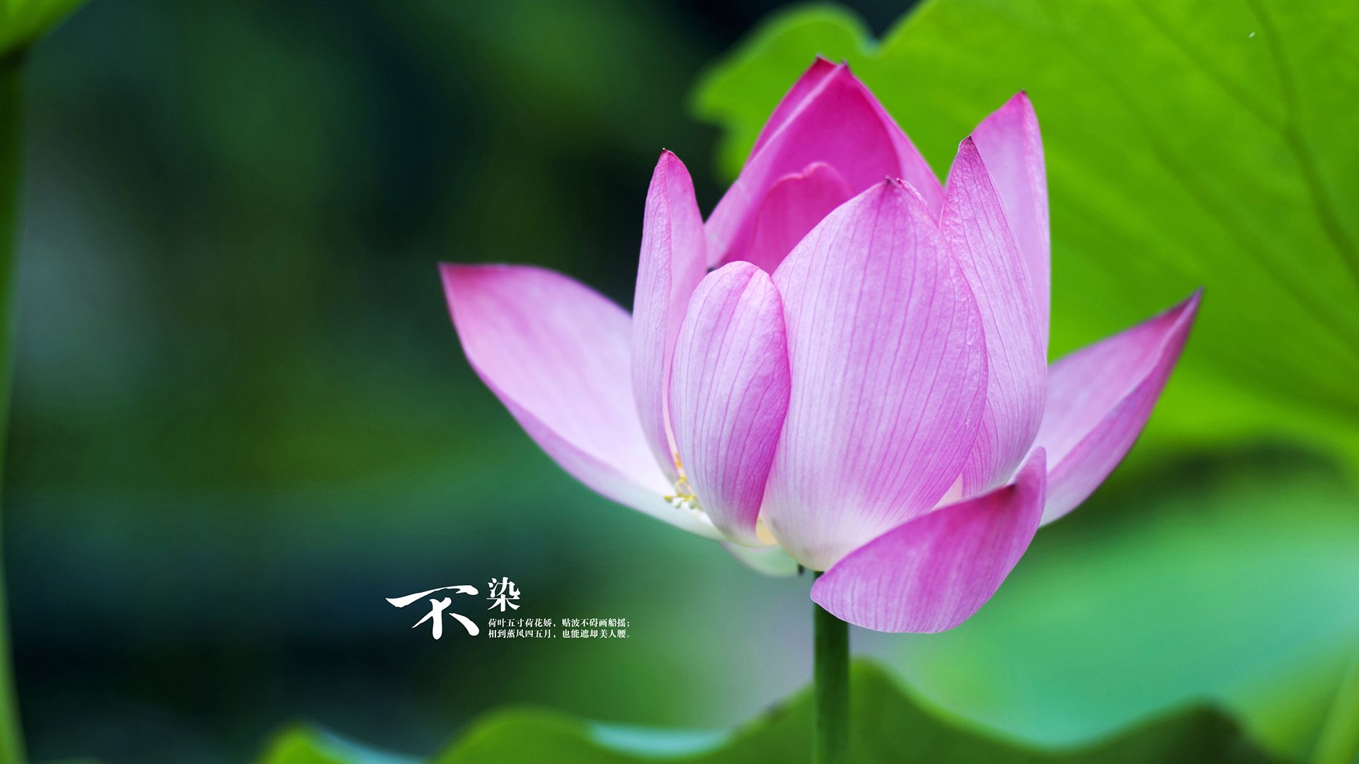 KAIYUNAPP-体育场馆低碳运行机制与能耗监控系统构建，体育场馆的环保设计