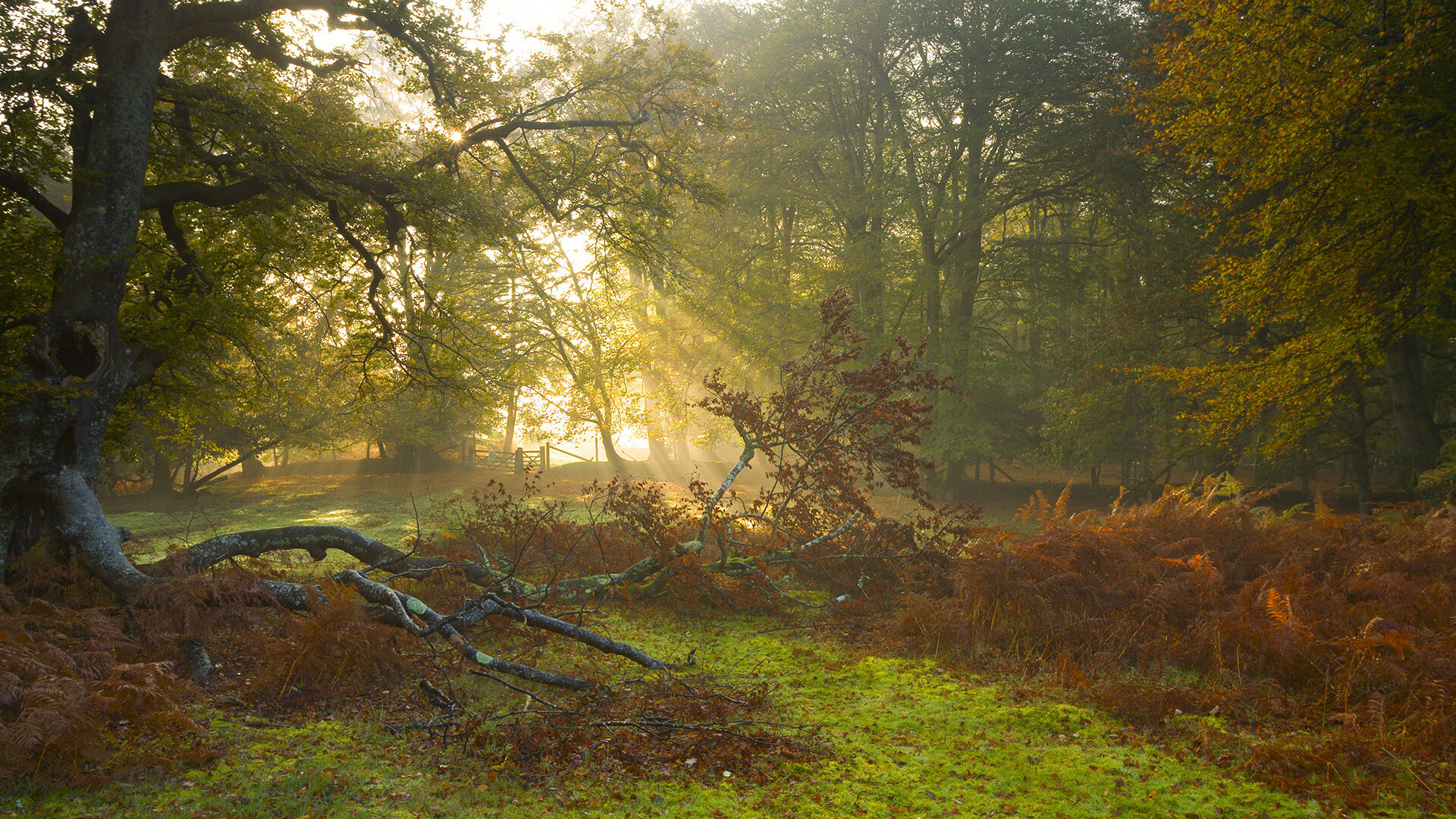 kaiyun.com-十国选手齐聚兴隆湖，划出国际风采，兴隆湖近况