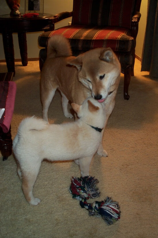 Kaiyun(中国)开云-边路传中占比变化是否改变球队进攻节奏结构，足球边路传中配合战术