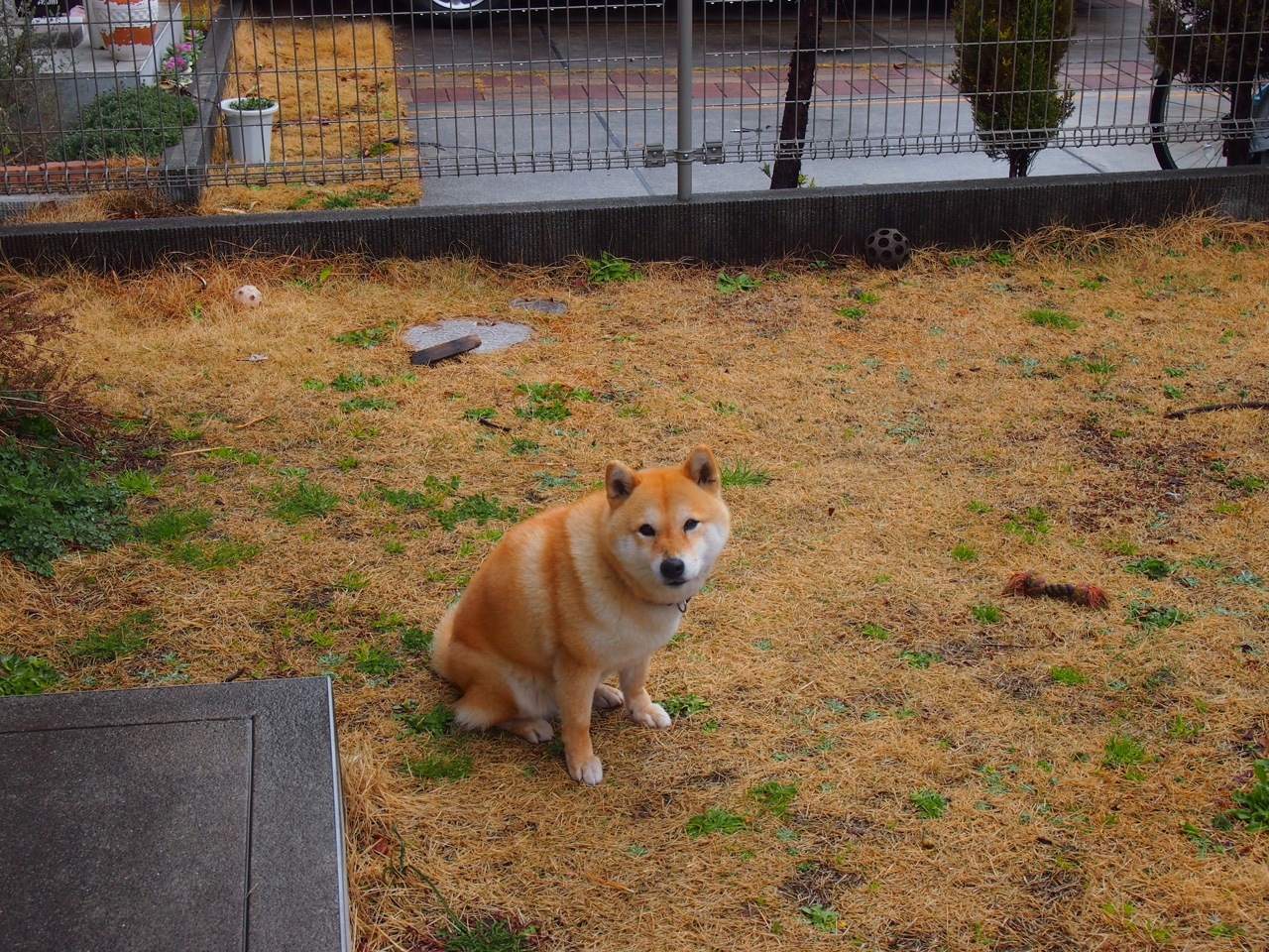 国家举重管理中心举办训练科学化论坛,国家举重队领队 是谁