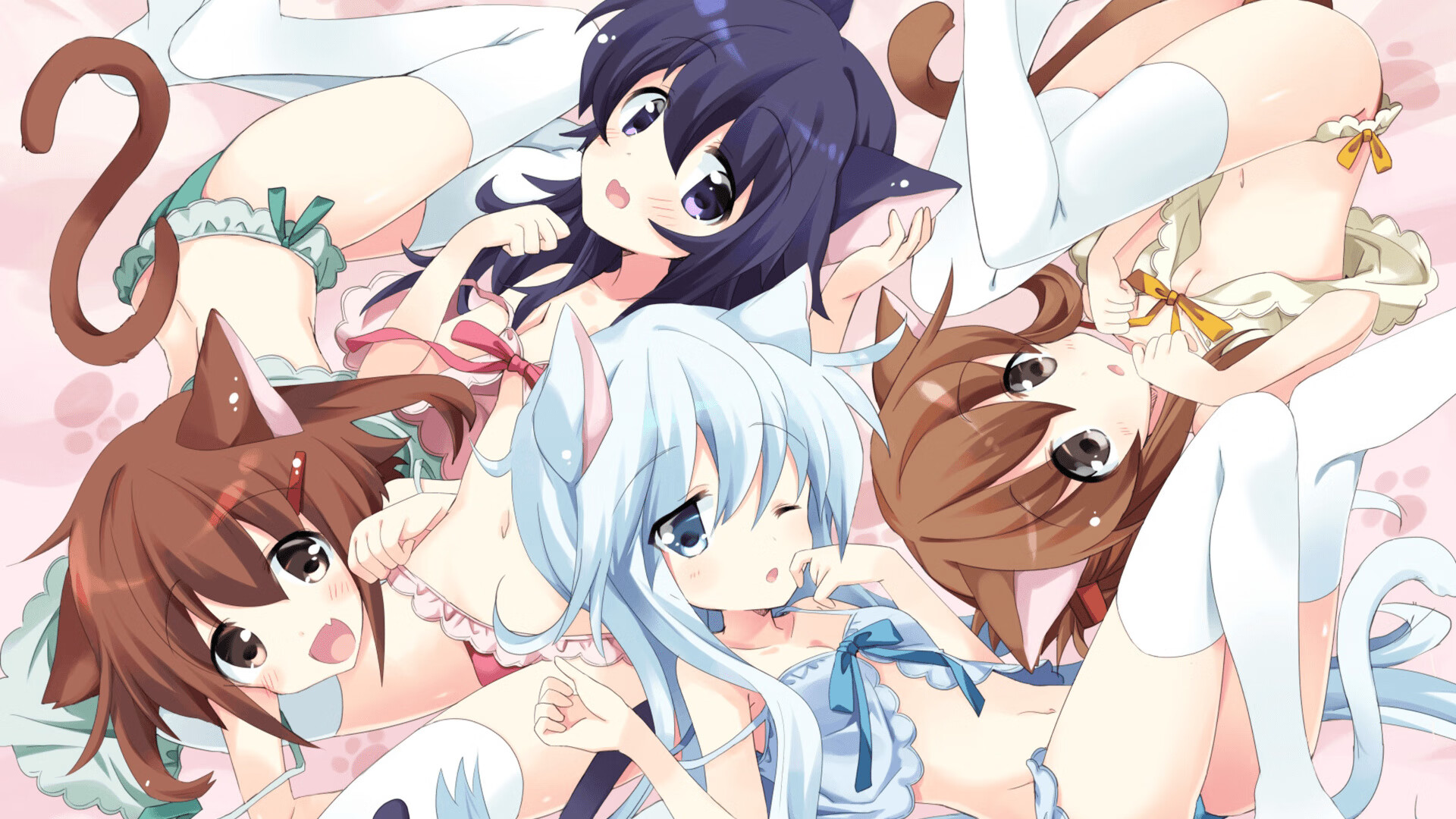 塔特发挥稳定，袋鼠队的中场核心始终如一，塔城袋鼠