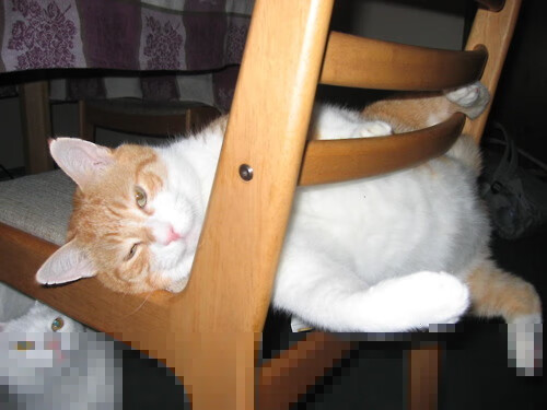 欧洲杯战术变革：令对手难以应对的创新布局，欧洲杯战术机位