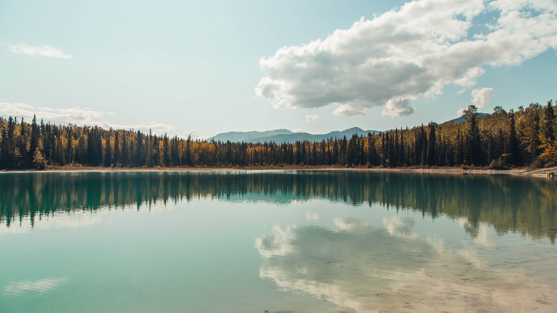 特色足球文化墙在城市中心铺设,传播体育精神,足球文化墙布置方案