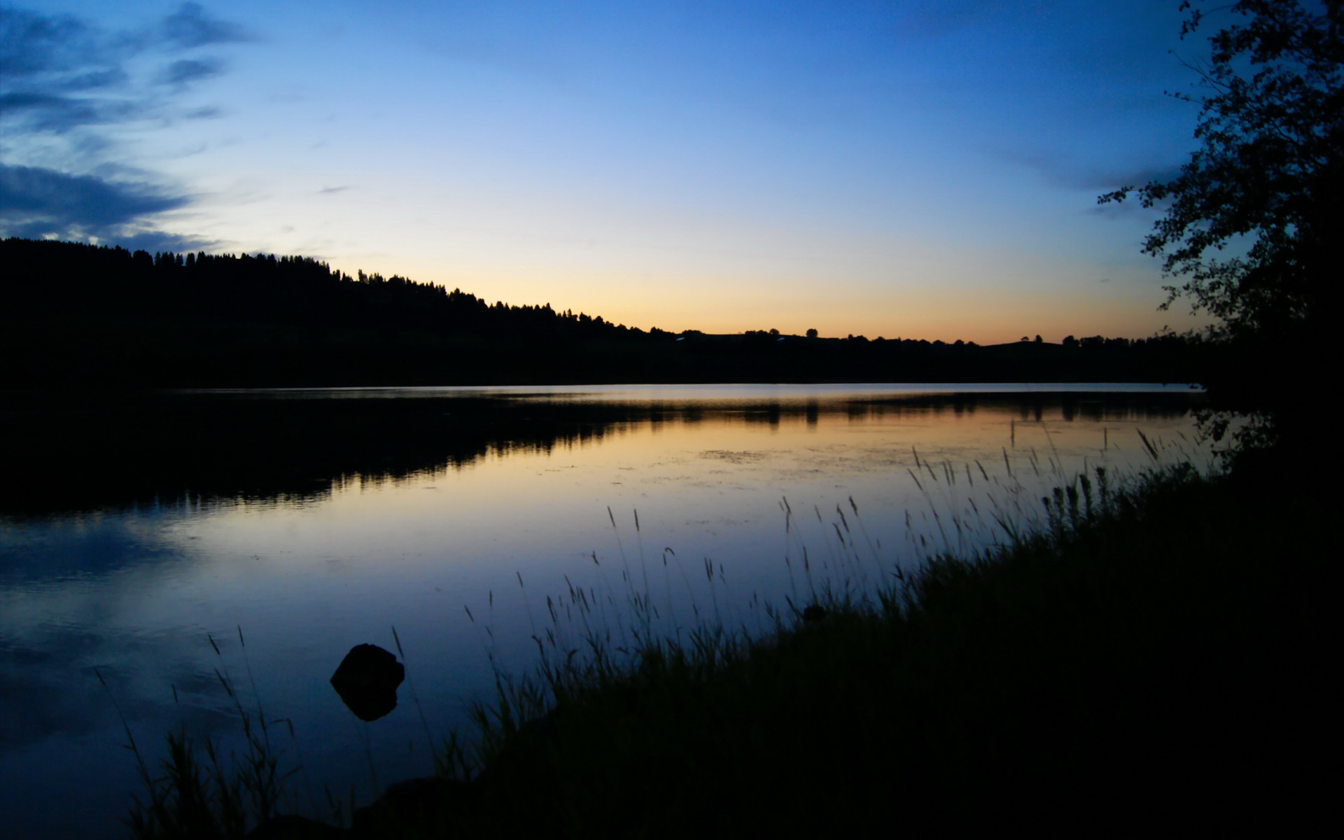 詹姆斯·奥康纳的突破与防守反击,改变比赛局势,詹姆弗康纳利照片