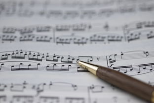 开云体育-NBA球员职业规划建议与实施，nba球员怎么规划锻炼和训练