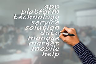 开云足球-瑞典队未来：如何建立更具竞争力的国际品牌，瑞典队分析